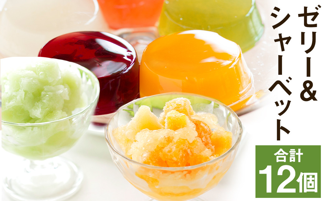 フルーツゼリー＆ゼリーシャーベット6個セット【メロンドーム】《2026年4月下旬発送開始》