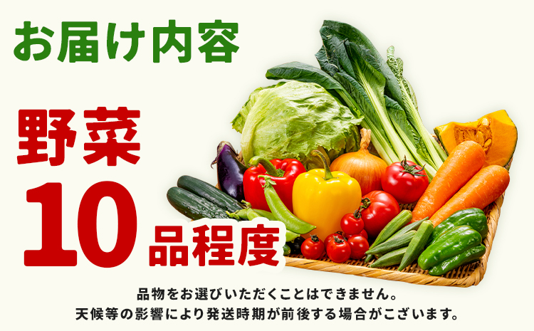 【定期便】 野菜 10品程度 計5回【メロンドーム】 定期便 5ヶ月お届け 詰め合わせ セット 国産 九州産 熊本県 菊池市 道の駅 送料無料《お申し込みの翌月から出荷》