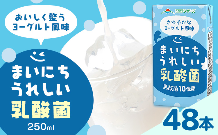 常温保存可能 まいにちうれしい 乳酸菌 ヨーグルト風味 250ml×48本 合同会社たべたせいか《30日以内に出荷予定(土日祝除く)》熊本県 菊池市 紙パック ヨーグルト飲料 乳酸菌 ドリンク 飲み物 飲料 常温保存 国産 熊本県産