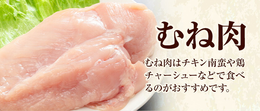 【12ヶ月定期便】 九州産若鶏ムネ肉 計50.4kg（600g×7袋×12回）鶏肉 お肉 ムネ肉 むね肉 小分け 冷凍 九州産 国産 熊本県 菊池市 送料無料《お申込み翌月から出荷》