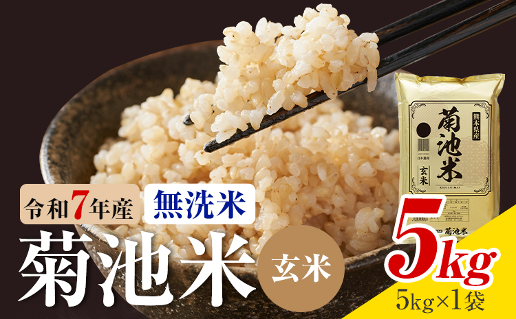 令和7年産 熊本県産 菊池米 無洗米 玄米 5kg 1袋5kg 株式会社くまもとごはん 《30日以内に出荷予定(土日祝除く)》米 お米 令和7年産 九州産 熊本県産  送料無料