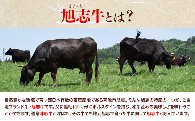 旭志牛 ヒレステーキD 合計360g 180g×2枚 有限会社旭志村ふれあいセンター 《90日以内に出荷予定(土日祝除く)》ヒレ 牛肉 肉 和牛 ステーキ ブランド牛 国産 九州産 熊本県産 菊池市産 旭志産 冷凍 送料無料