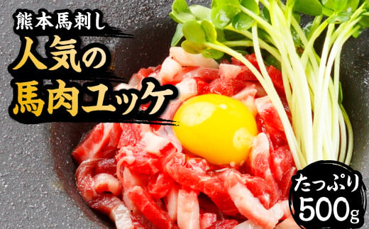 熊本 馬肉ユッケ 10人前 500g（50g×10パック）専用タレ付き 馬刺し 馬肉 肉 お肉