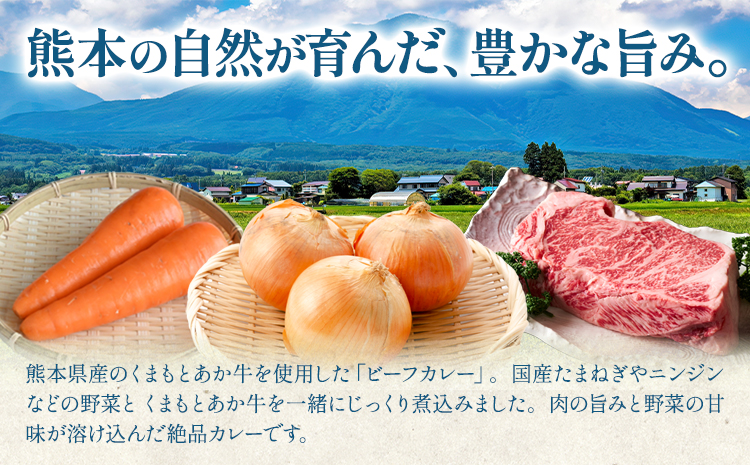 熊本県産あか牛使用 くまもとあか牛 ビーフカレー 30袋 1袋160g レトルト カレー パック 常備食 長期保存 送料無料《30日以内に出荷予定(土日祝除く)》