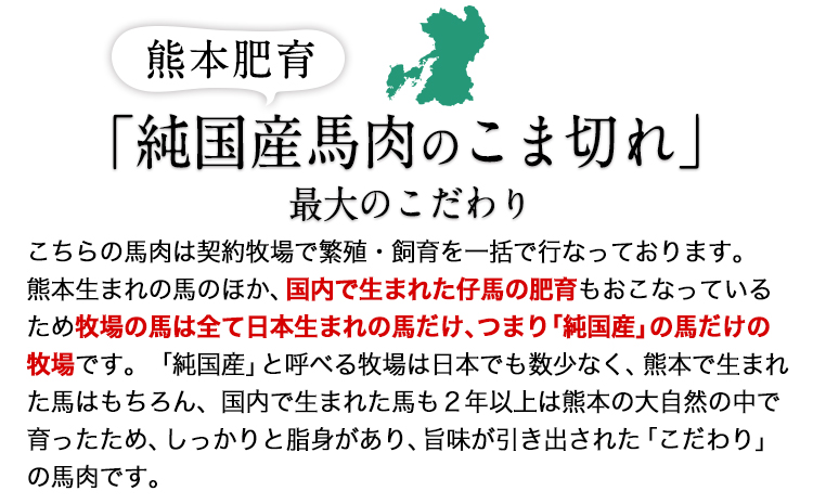 ★生食OK★馬肉のこま切れ400g《30日以内に出荷予定(土日祝除く)》  熊本県 菊池市 馬刺し 国産 送料無料 馬肉 タレ付き
