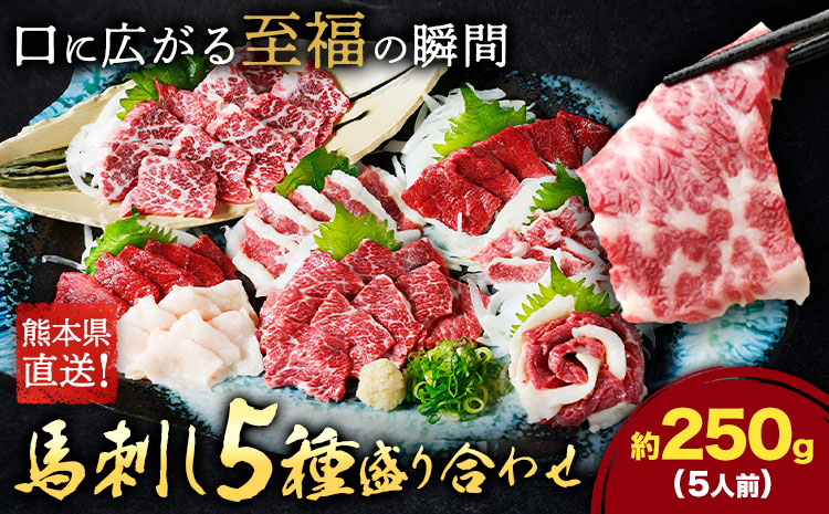馬刺し 5種 盛り合わせ セット 計250g 5人前 熊本直送 赤身 霜降り フタエゴ バラヒモ コーネ 株式会社Foody’s《30日以内に出荷予定(土日祝除く)》熊本県 菊池市 馬刺し 馬肉 肉 お肉