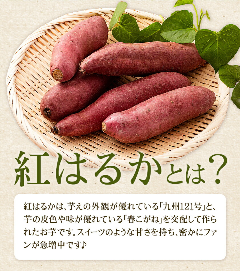 秀品 紅はるか 約10kg S〜2L混合 株式会社Foody’s 《90日以内に発送予定（土日祝を除く）》熊本県 菊池市 さつまいも 芋 紅蜜芋 焼き芋 野菜 菊池市産 熊本県産 九州産