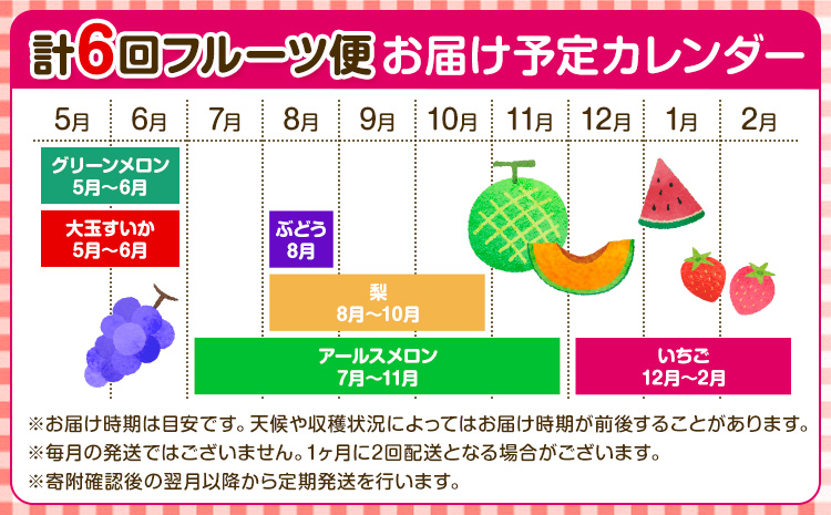 【定期便6回】特選 フルーツ 便 ( メロン すいか ぶどう 梨 いちご ) スイカ 葡萄 ブドウ ナシ なし 苺 イチゴ 果物 くだもの セット 詰合せ 定期便【メロンドーム】《お申込み翌月から出荷》