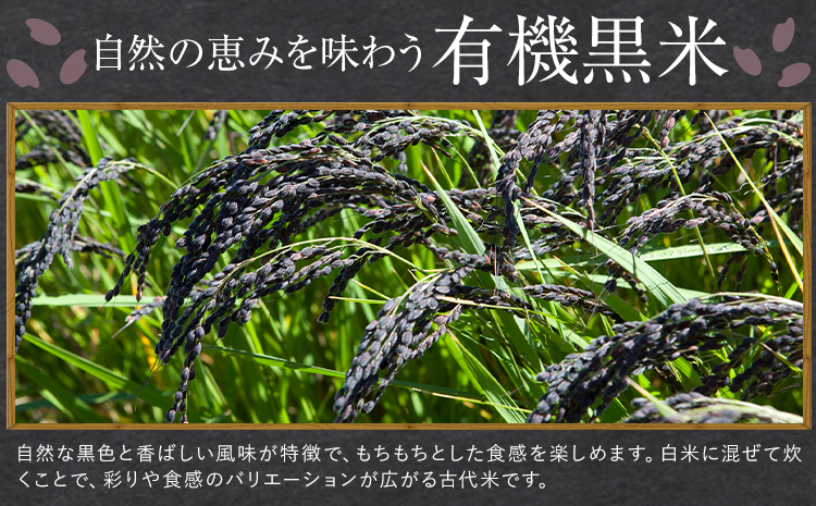 熊本県菊池産 七城物語 有機黒米（玄米）合計900g（180g×5パック）《30日以内に出荷(土日祝を除く)》