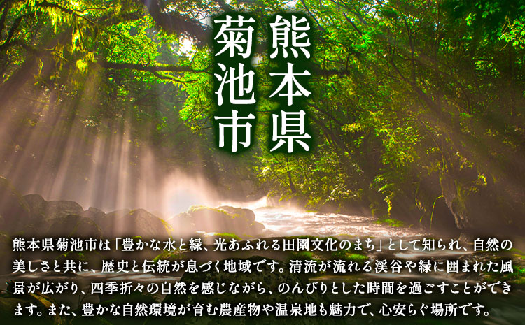 馬刺し 肩ロースと霜降りセット 2種類 合計400g 肩ロース 100g×2パック 霜降り 100g×2パック 有限会社七城町特産品センター《90日以内に出荷予定(土日祝除く)》熊本県 菊池市 肉 馬肉 セット 食べ比べ ブロック 送料無料