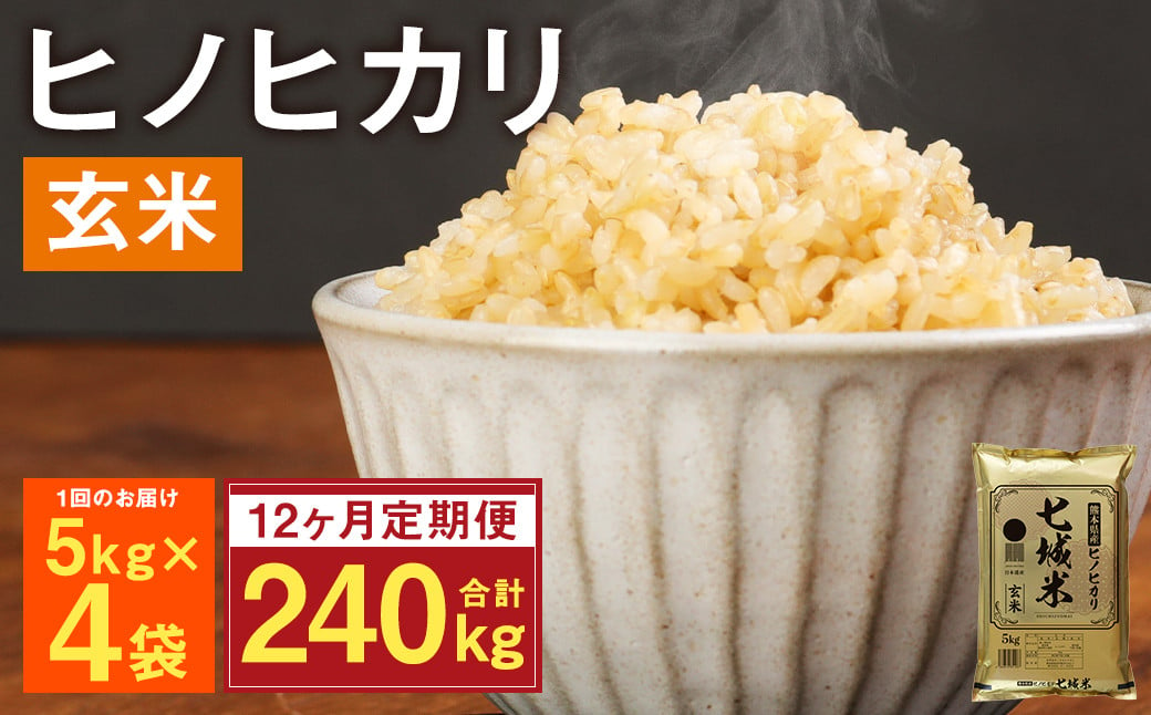 【定期便12ヶ月】熊本県菊池産 ヒノヒカリ 玄米 計240kg（5kg×4袋×12回）米 お米 残留農薬ゼロ 低温貯蔵