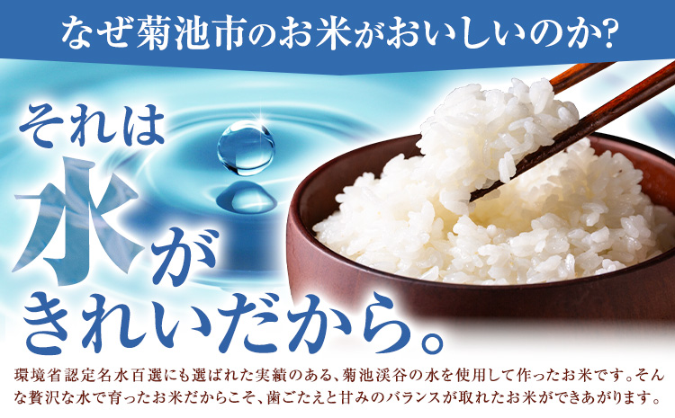 第13å èæ± ç±³é£å³ã³ã³ã¯ãŒã« å人ç·åéšé å
¥è³ç±³ ã²ã®ã²ãã 粟米 5kg äžåçºç¹ç£åã»ã³ã¿ãŒã30æ¥ä»¥å
ã«åºè·äºå®(忥ç¥é€ã)ãçæ¬ç èæ± åž ç±³ ãã ãããã«ãª ãç±³ ãã©ã³ãç±³ åäžåæç±³ èæ±