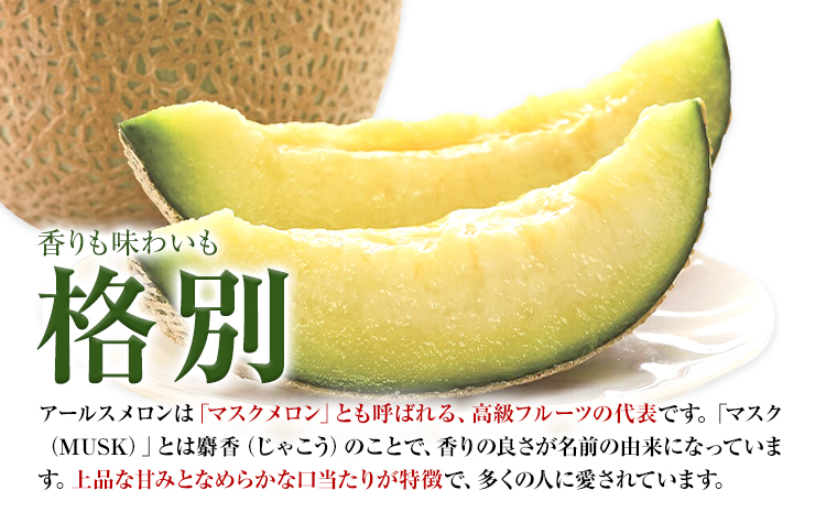 アールスメロン 1玉 2L以上【メロンドーム】 メロン 果物 フルーツ マスクメロン 九州産 熊本県産 送料無料《7月中旬-11月上旬頃出荷》