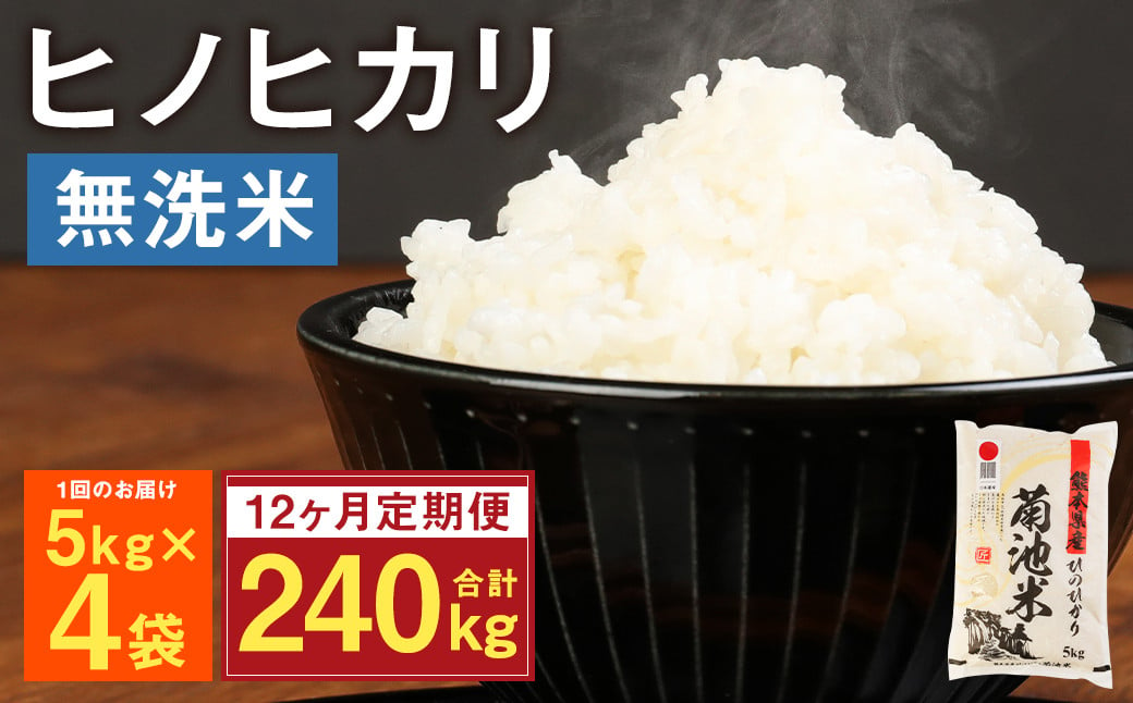 【定期便12ヶ月】熊本県菊池産 ヒノヒカリ 無洗米 計240kg（5kg×4袋×12回）精米 お米 米 白米