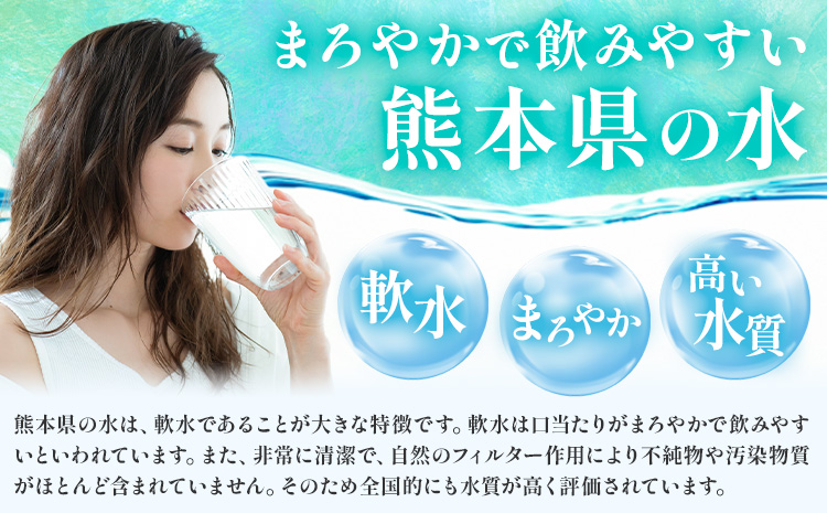 ピュアウォーター 純度99.99% 12L×2本 合計24L スターターセット付き（専用蛇口・段ボール台座）有限会社七城町特産品センター《90日以内に出荷予定(土日祝除く)》 熊本県 菊池市 ピュアウォーター ROウォーターとは 飲料水 ドリンク 軟水