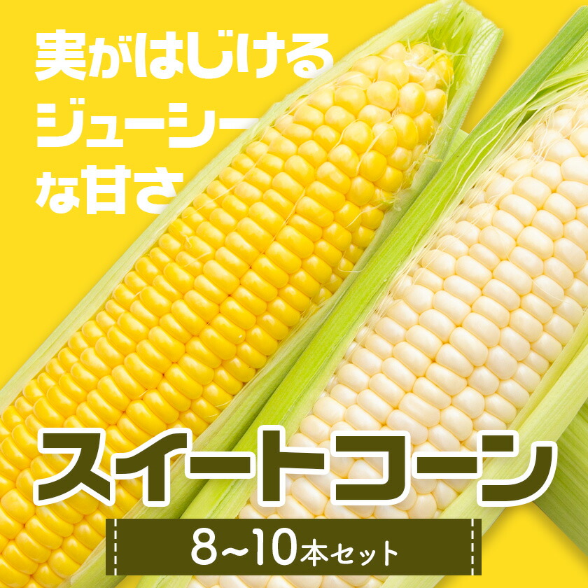 ã¹ã€ãŒãã³ãŒã³ã»ãã 8-10æ¬ãé€çåžå Žã ã³ãŒã³ ãšããããã åçš®ããŸãã ã©ã³ãã éè ä¹å·ç£ çæ¬çç£ éæç¡æã5æäžæ¬-6ææ«é åºè·ã