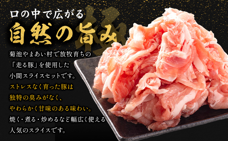 闖頑ア繧縺セ縺ゅ>縺ョ雎壼ー城俣繧ケ繝ゥ繧、繧ケ 2kg縲90譌・莉・蜀縺ォ蜃コ闕キ莠亥ョ壹(蝨滓律逾晞勁縺)縲1繝代ャ繧ッ200g 雎夊i 雎壼ー城俣 繧ケ繝ゥ繧、繧ケ貂医∩ 蟆丞縺 辭頑悽逵檎肇 荵晏キ樒肇 蝗ス逕」 蜀キ蜃 騾∵侭辟。譁