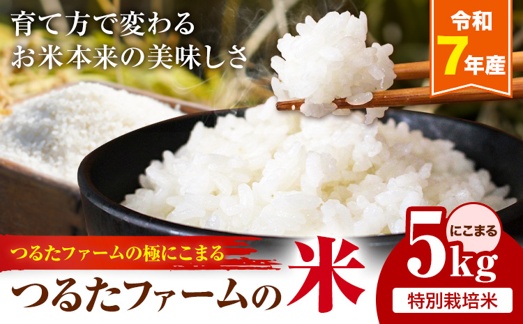 令和7年産 つるたファームの米 極にこまる 特別栽培米 にこまる 5kg 株式会社七城の恵み《30日以内に出荷(土日祝除く)》熊本県 菊池市 米 にこまる つるたファーム