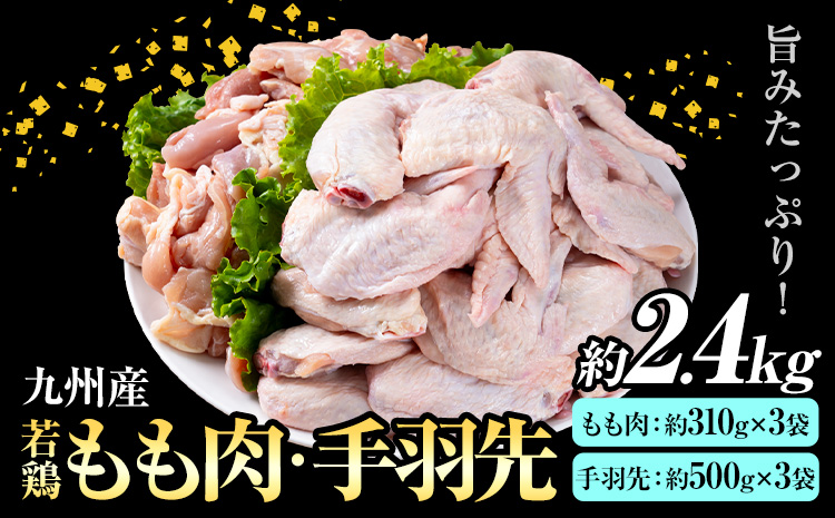 九州産 若鶏もも肉(約310g×3袋)・手羽先セット(約500g×3袋) 合計約2.4kg《30日以内に出荷予定(土日祝除く)》