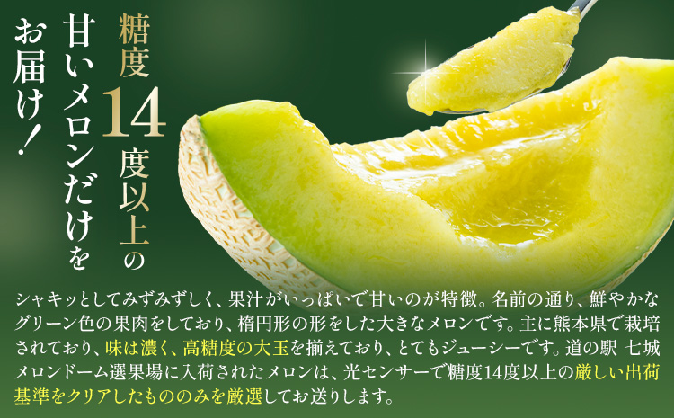 肥後グリーン メロン 2玉 約3.2kg 七城町特産品センター《5月中旬-6月末頃出荷》熊本県 菊池市 メロン 果物 フルーツ 九州産 熊本県産 めろん グリーンメロン