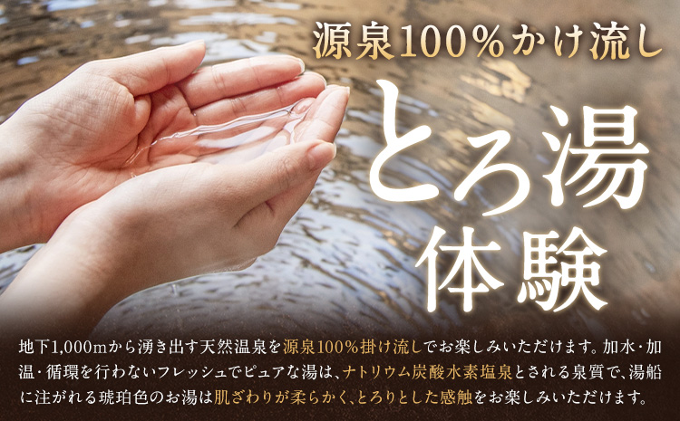白金温泉 黄金の湯 入浴券 25枚 株式会社白金の森《30日以内に出荷予定(土日祝除く)》熊本県 菊池市 チケット 温泉 天然温泉 旅行 送料無料