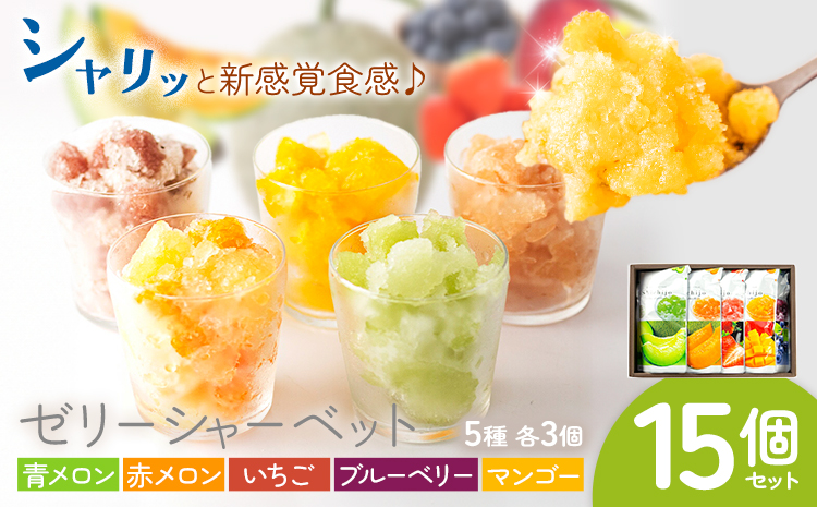 ゼリーシャーベット 15個セット(5種類×各3個) 道の駅七城メロンドーム《30日以内に出荷予定(土日祝除く)》メロン いちご マンゴー ブルーベリー シャーベット 洋菓子 お菓子 おやつ ゼリーシャーベット 送料無料