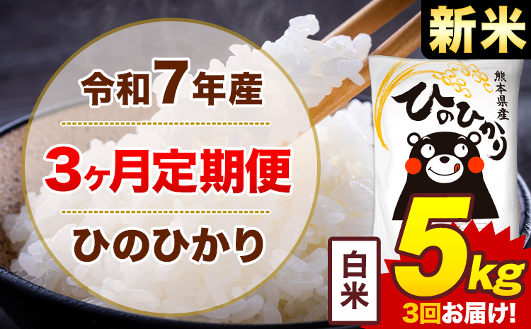 【3ヶ月定期便】新米 令和7年産 白米 5kg 米 ひのひかり《お申込み月の翌月から出荷開始》熊本県 菊池市 国産 熊本県産 白米 精米 無洗米 送料無料 ヒノヒカリ こめ お米