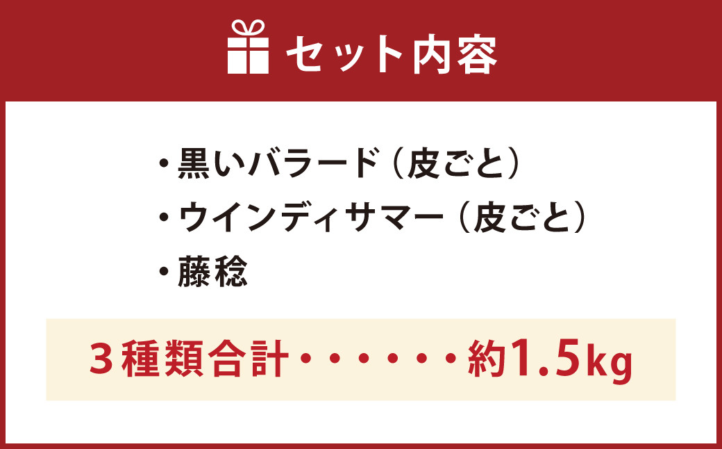 【8月上旬発送開始】3種のぶどう（黒いバラード ウインディサマー 藤稔）セット 計約1.5kg