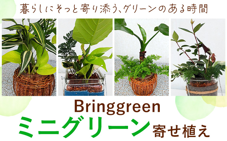 ミニグリーン 寄せ植え bring green Fleurbranch 《90日以内に出荷予定(土日祝除く)》熊本県 菊池市 観葉植物 植物 インテリア ガーデン 雑貨 エコ素材 贈物 プレゼント