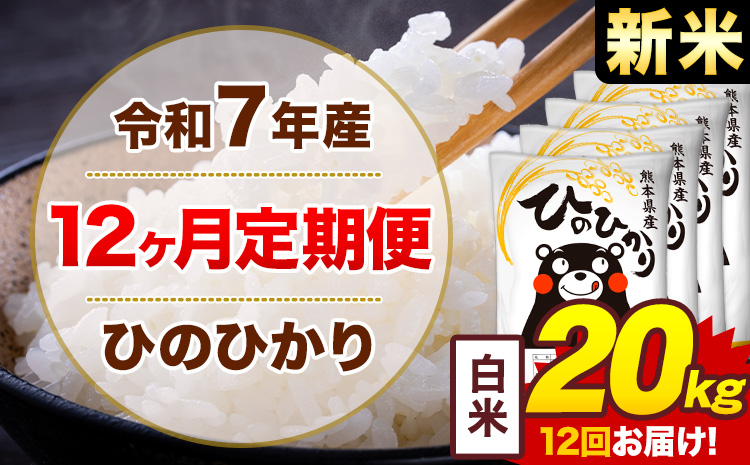【12ヶ月定期便】新米 令和7年産 白米 20kg 米 ひのひかり《お申込み翌月から出荷》熊本県 菊池市 国産 熊本県産 白米 精米 無洗米 送料無料 ヒノヒカリ こめ お米