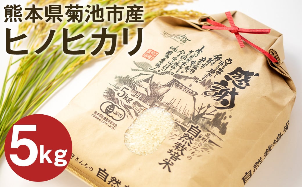 【真空パック】熊本県菊池産 ヒノヒカリ 白米 5kg 七城物語 高野さんちの自然栽培米 精米  お米 こめ コメ 米 