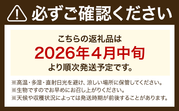 小玉スイカ 2玉【養生市場】 ひとりじめ 果物 フルーツ スイカ 西瓜 九州産 熊本県産 送料無料《2026年4月中旬-5月中旬頃出荷予定》【先行予約】