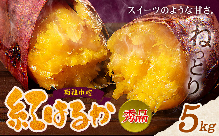 秀品 紅はるか約5kg S〜2L混合 株式会社Foody’s 《90日以内に発送予定（土日祝を除く）》熊本県 菊池市 さつまいも 芋 紅蜜芋 焼き芋 野菜 菊池市産 熊本県産 九州産