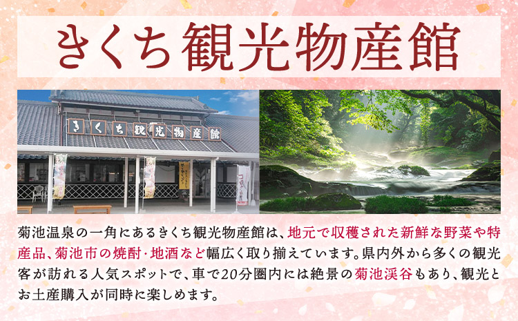 松風 桐箱入り 32 包 有限会社きくち観光物産館《90日以内に出荷予定(土日祝除く)》 熊本県 菊池市 和菓子 お菓子 松風 焼き菓子 伝統銘菓 ギフト 贈りもの 送料無料