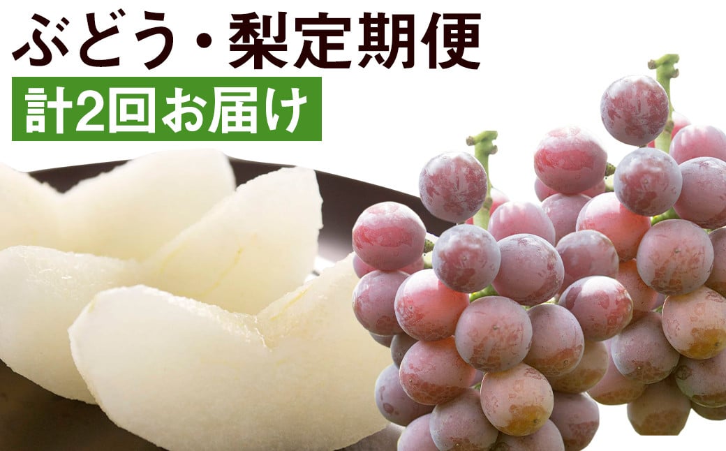 【2回発送】旬の味覚フルーツ定期便（ぶどう・梨）品種おまかせ 果物