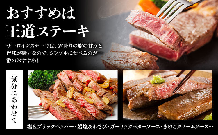 æå¿ç ãµãŒãã€ã³ã¹ããŒãE 160gÃ3æ åèš480g æéäŒç€Ÿæå¿æãµãããã»ã³ã¿ãŒã90æ¥ä»¥å
ã«åºè·äºå®(忥ç¥é€ã)ããè çè ãµãŒãã€ã³ ã¹ããŒã èæ± ãã©ã³ãç å·å éæç¡æ