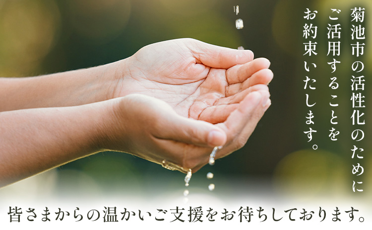 菊池市への寄附(返礼品はありません) 熊本県 菊池市 返礼品なし 100,000円