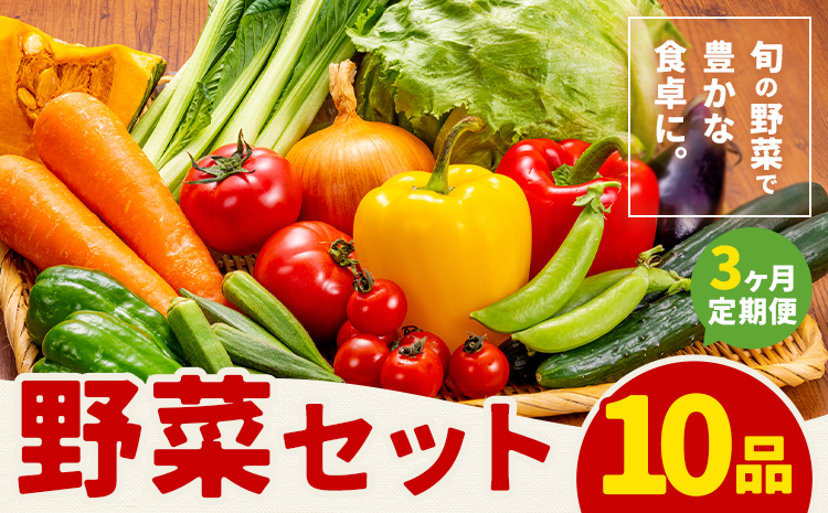 【定期便】 野菜 10品程度 計3回【メロンドーム】 定期便 3ヶ月お届け 詰め合わせ セット 国産 九州産 熊本県 菊池市 道の駅 送料無料《お申し込みの翌月から出荷》