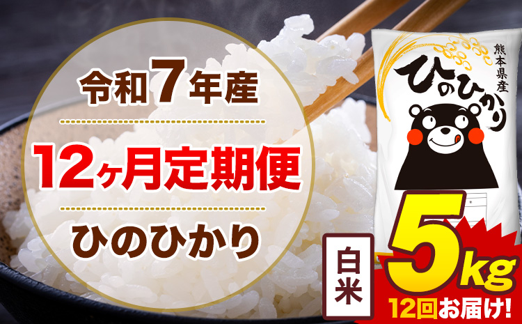 【12ヶ月定期便】令和7年産 白米 5kg 米 ひのひかり《お申込み月の翌月から出荷開始》熊本県 菊池市 国産 熊本県産 白米 精米 無洗米 送料無料 ヒノヒカリ こめ お米