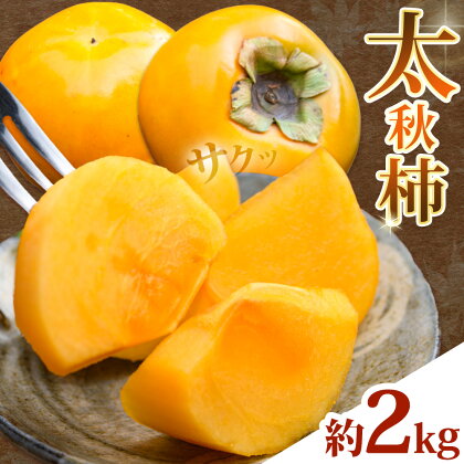 太秋柿 柿 約2kg 株式会社エフビーネット《10月上旬-11月上旬頃出荷》熊本県 菊池市 柿 かき たいしゅうがき 果物 フルーツ 秋の味覚 旬 デザート