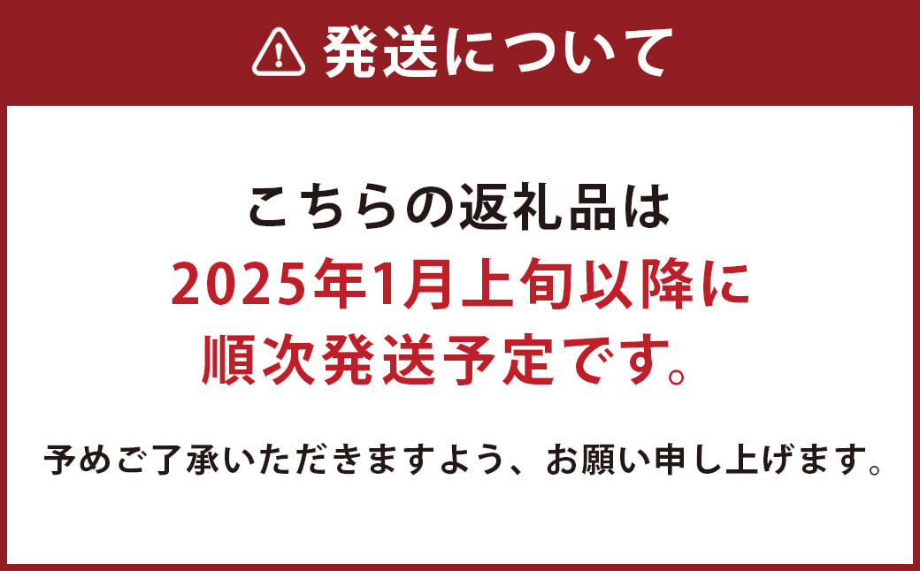 肥後 あそび豚 切落し 計4kg（500g×8パック） 国産 豚肉 【2025年1月上旬より順次発送】