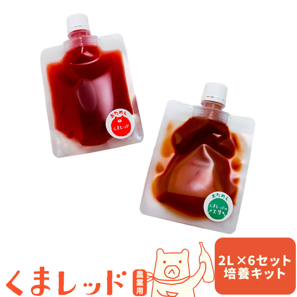 光合成細菌くまレッド 農業用 2L培養キット×6セット 株式会社Ciamo 《90日以内に出荷予定(土日祝除く)》熊本県 菊池市 ガーデニング 農業用 観葉植物 家庭菜園