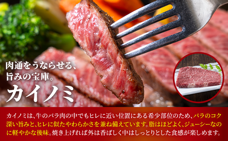 熊本あか牛 極上ステーキ 3品 セット 合計約4.2kg 3種類 サーロイン シャトーブリアン カイノミ 合同会社たべたせいか《30日以内に出荷予定(土日祝除く)》熊本県 菊池市 肉 牛肉 お肉 あか牛 ステーキ 希少部位 詰め合わせ 食べ比べ 熊本県産 冷凍 送料無料