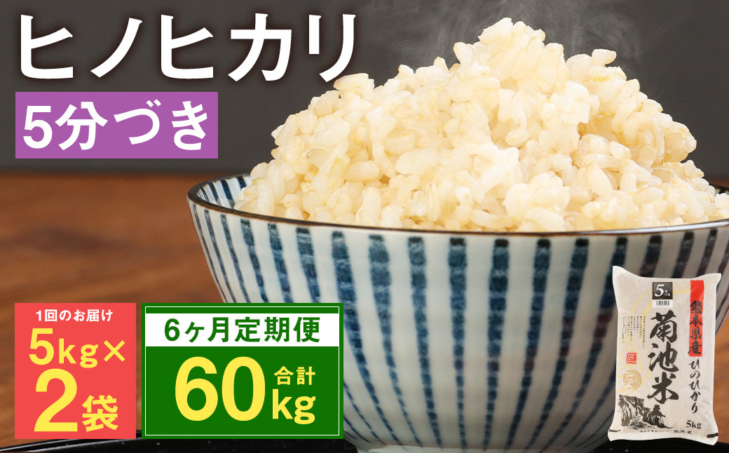 【6ヶ月定期便】熊本県菊池産 ヒノヒカリ 5kg×2袋×6回 計60kg 5分づき米 お米 米 分づき米 