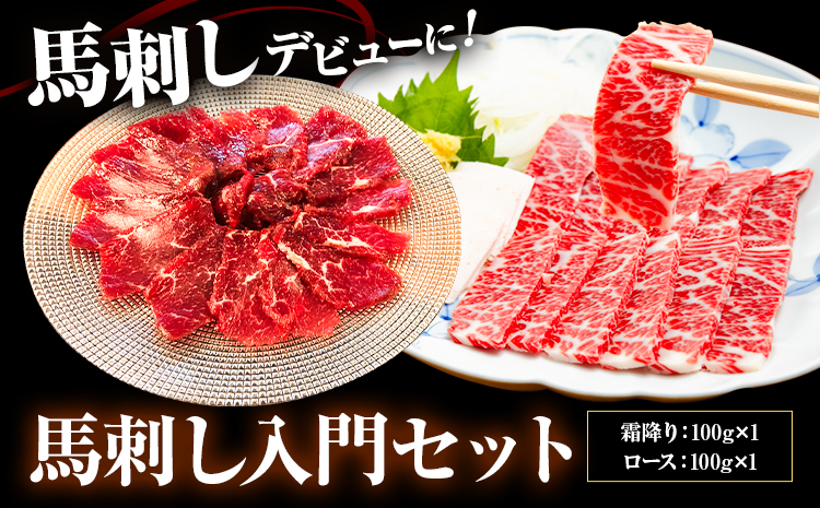 馬刺し入門セット 合計200g 2種類 セット 霜降り100g ロース100g 有限会社七城町特産品センター《90日以内に出荷予定(土日祝除く)》熊本県 菊池市 馬肉 馬刺し 食べ比べ 詰め合わせ ブロック 冷凍 送料無料