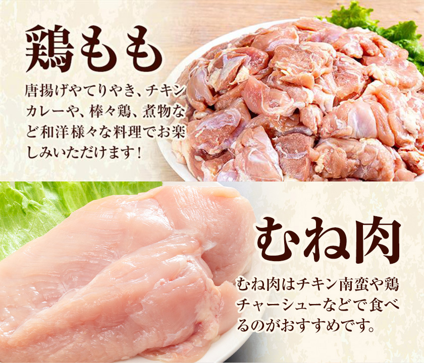 【6ヶ月定期便】 九州産若鶏もも肉（310g×8袋）・むね肉（600g×7袋）セット  鶏肉 お肉 モモ肉 もも肉 ムネ肉 むね肉 2種類 小分け 冷凍 九州産 国産 熊本県 菊池市 送料無料《お申込み翌月から出荷》