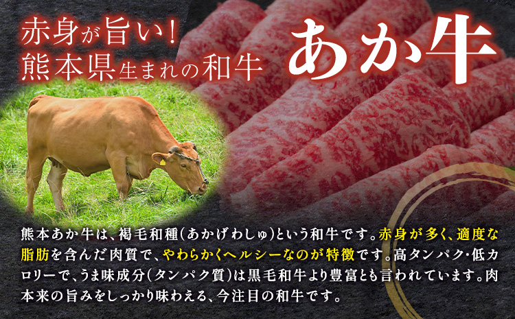 あか牛 ヒレ肉 800g(6枚前後) 馬刺し 3種類 6ヶ月定期便 合計6kg 食べ比べ セット 合同会社たべたせいか《お申し込みの翌月から出荷》詰め合わせ 赤牛 国産和牛 和牛 ステーキ 馬肉 赤身 霜降り たてがみ 熊本県産 九州産 送料無料
