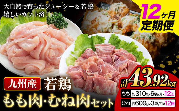 【12ヶ月定期便】 九州産若鶏もも肉（310g×6袋）・むね肉（600g×3袋）セット  鶏肉 お肉 モモ肉 もも肉 ムネ肉 むね肉 2種類 小分け 冷凍 九州産 国産 熊本県 菊池市 送料無料《お申込み翌月から出荷》