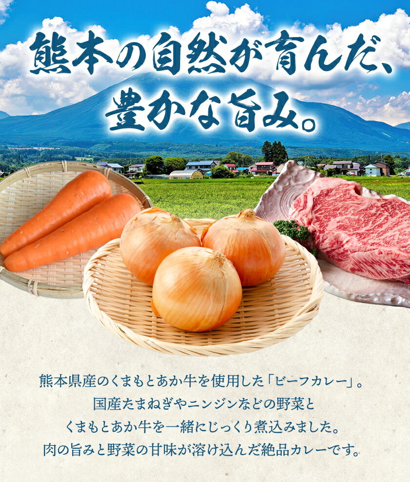 熊本県産あか牛使用 くまもとあか牛 ビーフカレー 4袋 1袋160g レトルト カレー パック 常備食 長期保存 送料無料《30日以内に出荷予定(土日祝除く)》