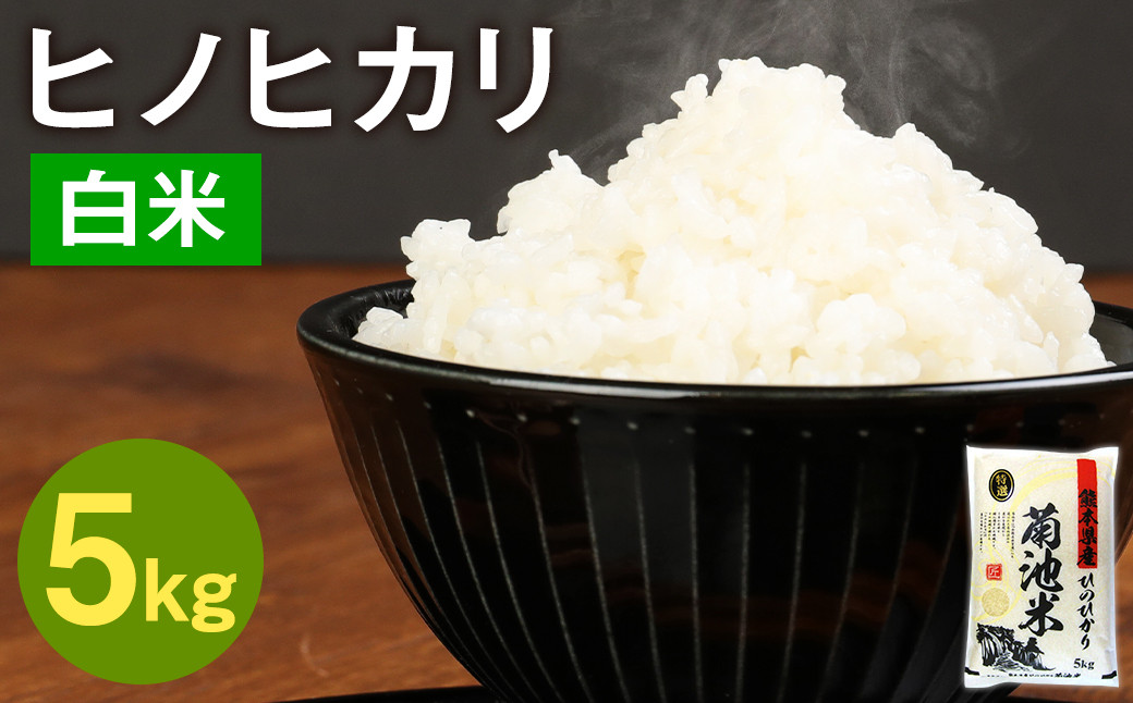 熊本県菊池産 ヒノヒカリ 5kg 精米 お米 白米 令和6年産